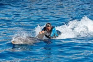 Read more about the article The Untapped Potential Of Google My Business and our GMB Optimization Services