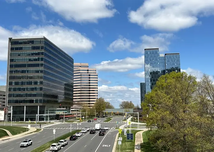 Virginia business using GMB optimization services to rank higher