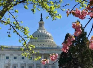 Read more about the article Virginia Digital Marketing Company Guide: The Future of Answer Engine Optimization (AEO) and SEO