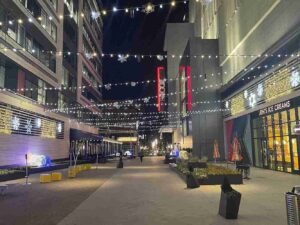 Read more about the article Google Advertising Companies in Virginia: How to Choose the Right Partner in 2025